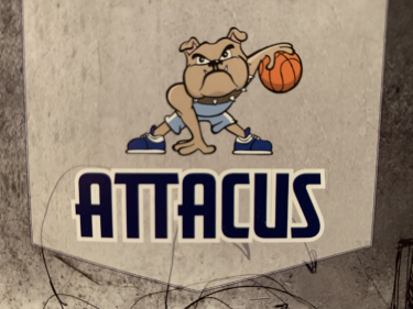 Attacus basketball